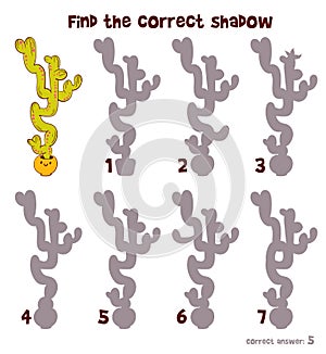 Choose right silhouette. Find the correct shadow. Attention task photo