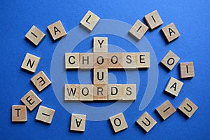 Choose Your Words, words and phrases