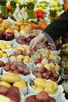 Choosing potatoes in an indoor market