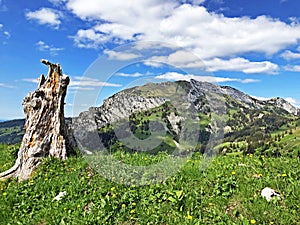 Chopfenberg or Choepfenberg Mountain above the valley Wagital or Waegital and alpine Lake Wagitalersee Waegitalersee, Innerthal