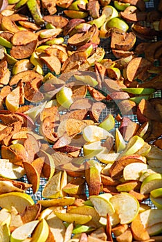 chopped apples lie on a drying net