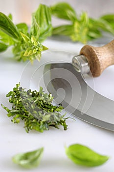Chopped basil and chopper
