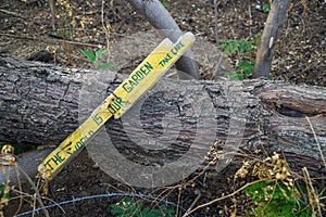 Chopped and burned tree with the sign: The world is our garden, take care. Enviromental protection.