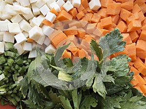 Chopped celery, parsnips, carrot and celery stalk