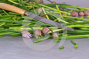 Chopped chives and knife on kitchen metal table