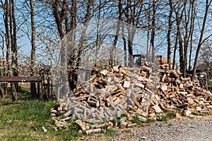 Chopped firewood from different species of trees