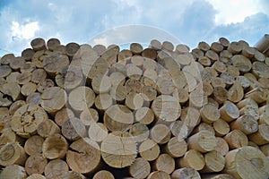 Chopped firewood. Firewood stacked and prepared for winter. Blue sky at background.