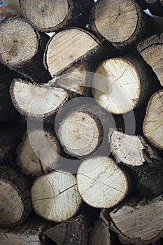 Chopped firewood for house fireplace photo