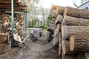 Chopped firewood storage under shed and oak wooden tree logs prepared for chopping and cutting at home backyard. Woodshed store at