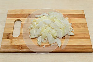 Chopped fresh onion