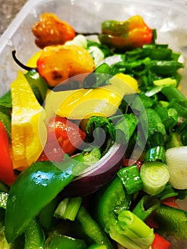 Chopped fresh vegetables