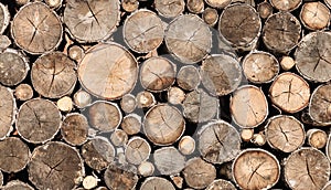 Chopped logs background