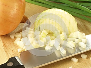 Chopped onion photo