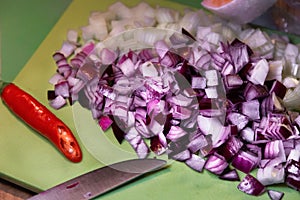 Chopped Purple and white onions on cutting board.