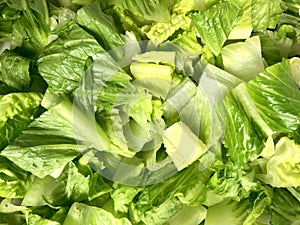 Chopped romaine lettuce photo
