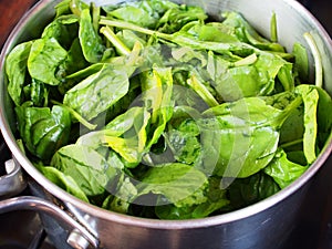 Chopped spinach in a pot on the stove