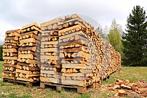 Chopped and Stacked Firewood on a Field