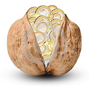 Chopped walnut filled with euro coins. This can probably symbolize strength, reliability and financial success.