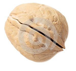 Chopped walnut isolated white background