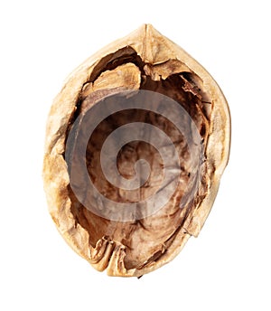 Chopped walnut isolated white background