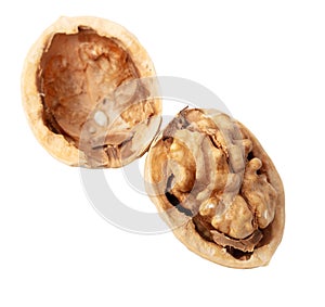 Chopped walnut isolated white background