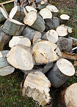 Chopped wood