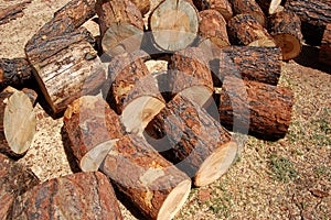 Chopped Wood