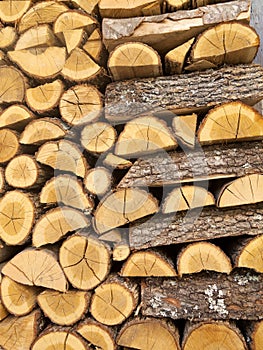 Chopped wood Pile