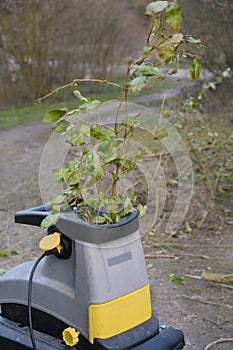 Chopping branches, twigs and pruning waste with an electric garden shredder