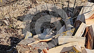 Chopping firewood. Harvesting firewood for the winter. The log is chopped with an axe. Close-up video.