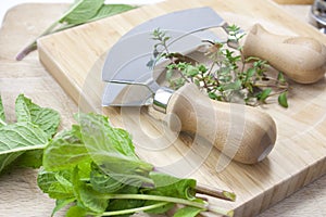 Chopping herbs photo