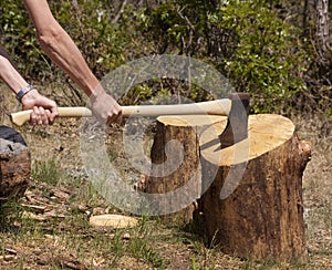 Chopping logs photo