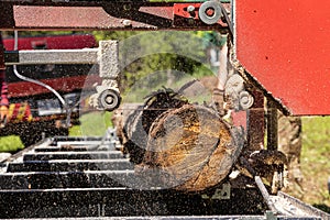 Chopping logs from trunks on trailer saw