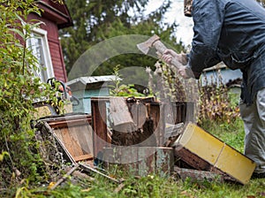 chopping old hives for firewood