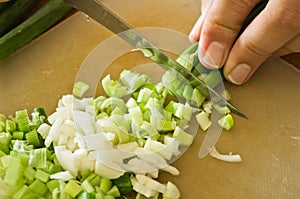 Chopping onion