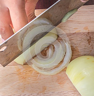 Chopping Onion Means Prepare Food And Cooking