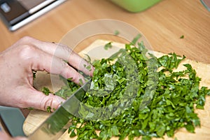 Chopping parsley photo