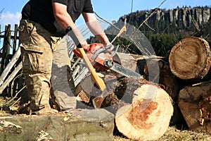 Chopping trees for firewood, country job