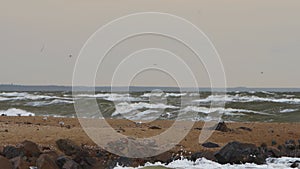 Choppy sea waves crash onto sandy beach with rocks, under overcast sky. Seagulls hover, brave harsh weather, stormy