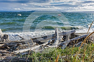 Choppy Water Seascape 2