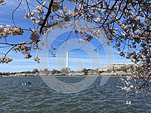 Choppy Water at the Tidal Basin in Washington DC