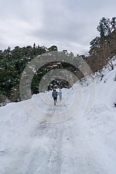 Chopta in winter season   Uttarakhand