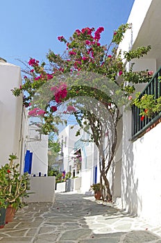 Chora, Folegandros island photo