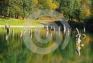 Choret lake in Hyrcanian forests of Iran during Autumn