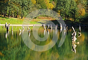 Choret lake in Hyrcanian forests of Iran during Autumn photo
