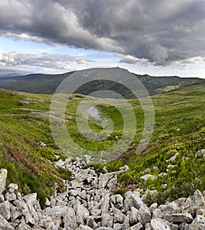 Chorna hora. Carpathians. Ukraine photo