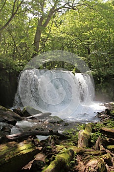 Choshi falls of Oirase mountain stream