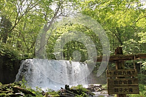 Choshi falls of Oirase mountain stream