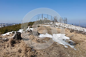 Chotarny kopec, Chotarny hill, Javorniky, Slovakia