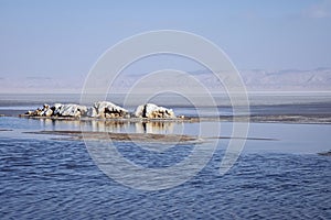 Chott El Jerid in Tunisia